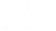 BIG Logo